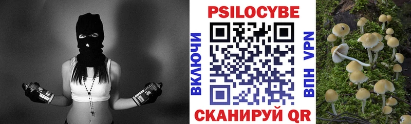 Псилоцибиновые грибы прущие грибы  Сосенский 